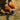 V10HCF355FD5CE2602EB8C80AAC2B829A801R5276861P8